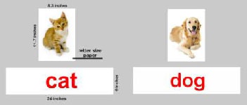 READING PROGRAM